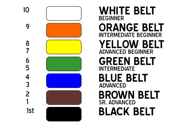 belt-ranking-system